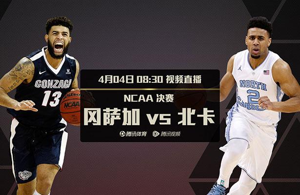 老师的兔子又大又白