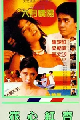 2345网站