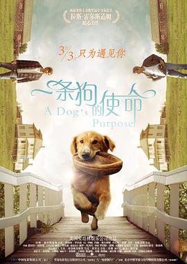 我的小嫂子