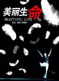 东西迷住的微观