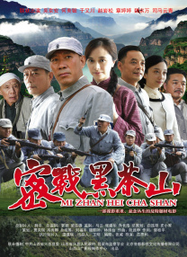 国产区成人精品视频
