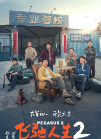 chinese东北体育生飞机